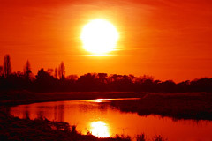 s201006190000.jpg